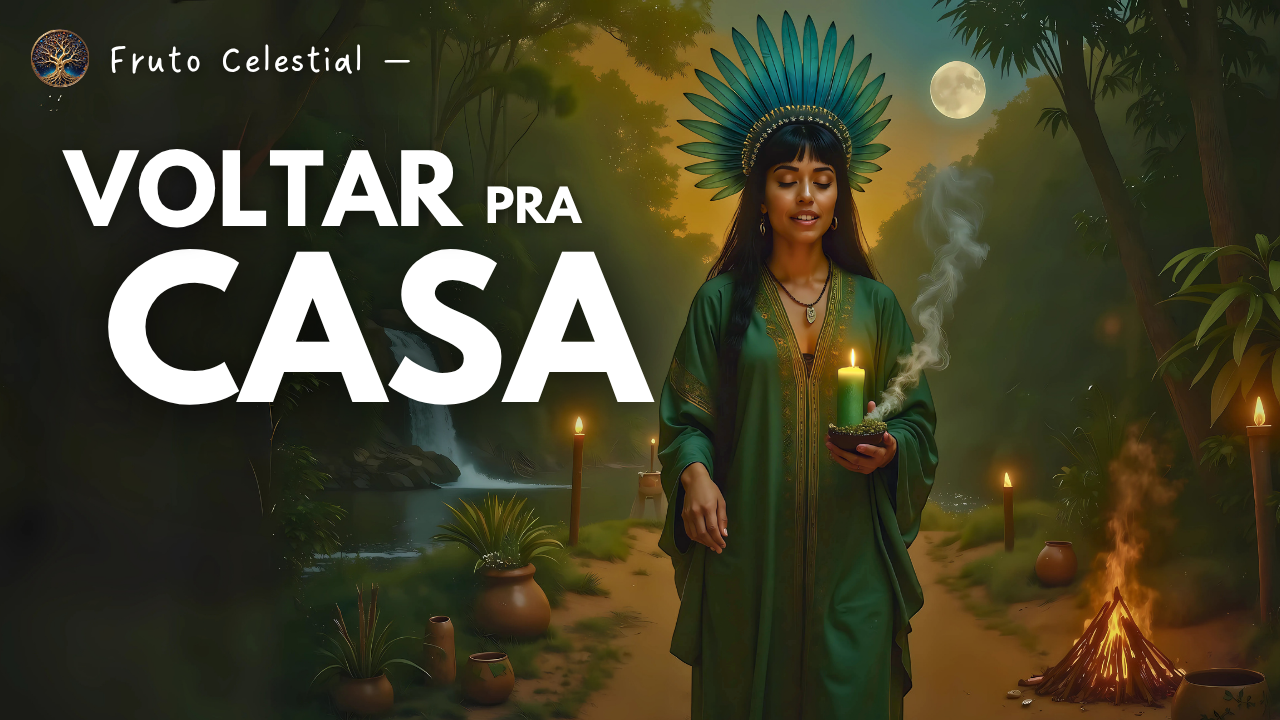 Capa da música Voltar pra Casa